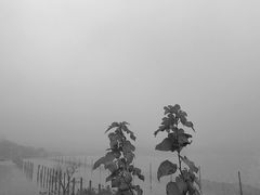 -南京金牛湖风景区