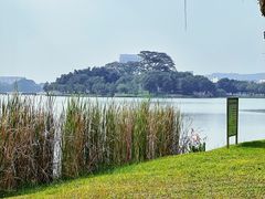 -顺峰山公园