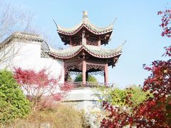 -武汉园博园(武汉自然博物馆)