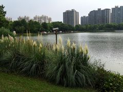 -南翔镇银翔湖公园