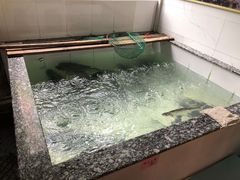 -桐庐窄溪野鱼馆