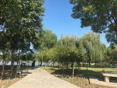 -石家庄市植物园