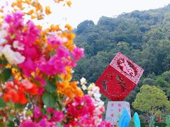-东莞观音山旅游风景区