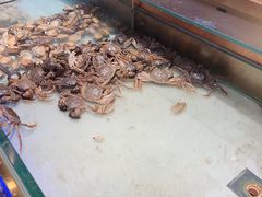 -鼎香缘海鲜自助火锅烤肉(锦辉购物广场店)