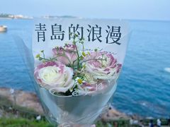-燕儿岛山公园