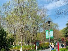 -大兴滨河森林公园