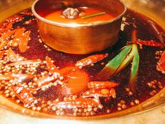 -Xiao Long Kan Hotpot Sydney 小龙坎老火锅