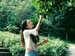 -南山植物园