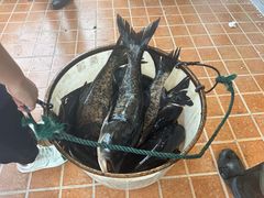 -加顺农场餐厅