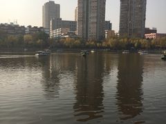 -文瀛公园