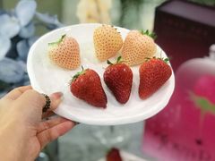 -美罗城
