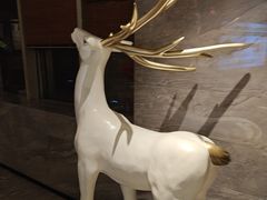 -三谷里·生态水疗空间(五一店)