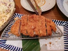 -堂本家·二代目·炸猪排(中心书城店)