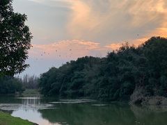 -艾溪湖湿地公园