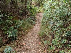 -火炉山森林公园