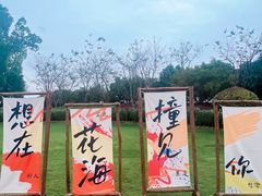 -径山花海