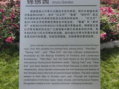 -大望京公园