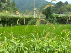 -大明山自然探索公园
