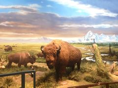 -陕西自然博物馆