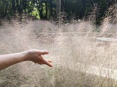 -苏州河梦清园环保主题公园