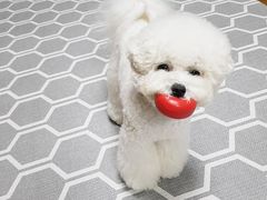 -DQ(建邺万达店)