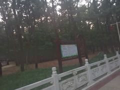 -林海公园