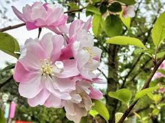 -元大都城垣遗址公园