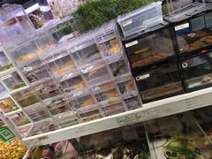 -义乌之心城市生活广场