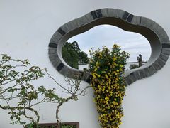 -都江堰玫瑰花溪谷
