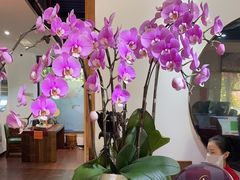 -荷风细雨·中国茶宴(碧云店)