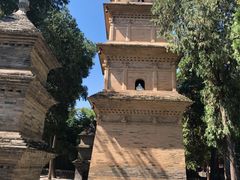 -兴教寺