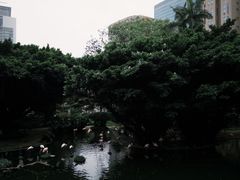 -九龙公园