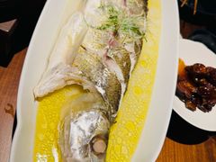 -苏帮袁Sue Cuisine(将台店)