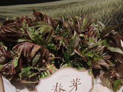-瑶王府·广西菜(金阳路店)