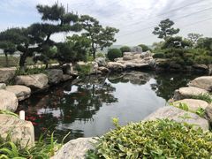 -中国唐苑