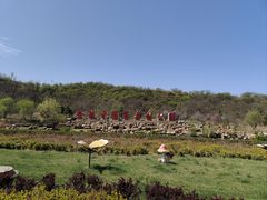 -金龙寺国家森林公园