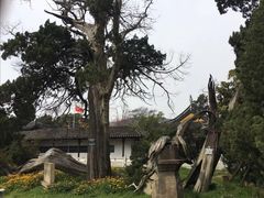 -司徒庙