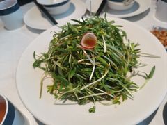 -凤凰湘语(浦东旗舰店)