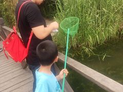 -溱湖国家湿地公园