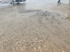 -日照灯塔风景区