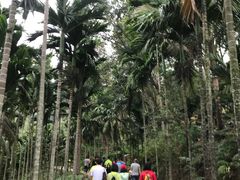 -七仙岭温泉国家森林公园