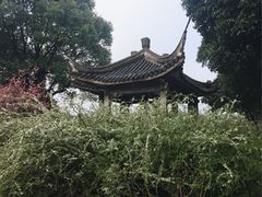 -无锡梅园公园