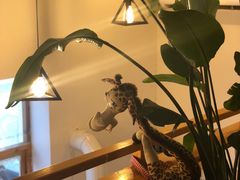 -长颈鹿咖啡(大学路店)