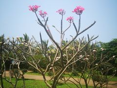 -白沙门生态公园