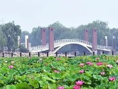 -石家庄市植物园