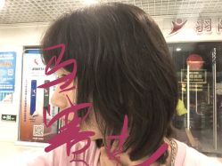中发-付军剪艺