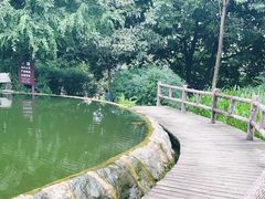-成都市活水公园