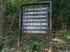 -上海佘山国家森林公园西佘山园