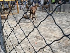 -长白岛森林公园