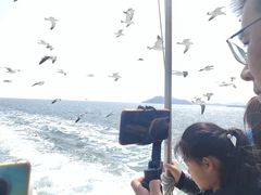 -海驴岛(荣成市)